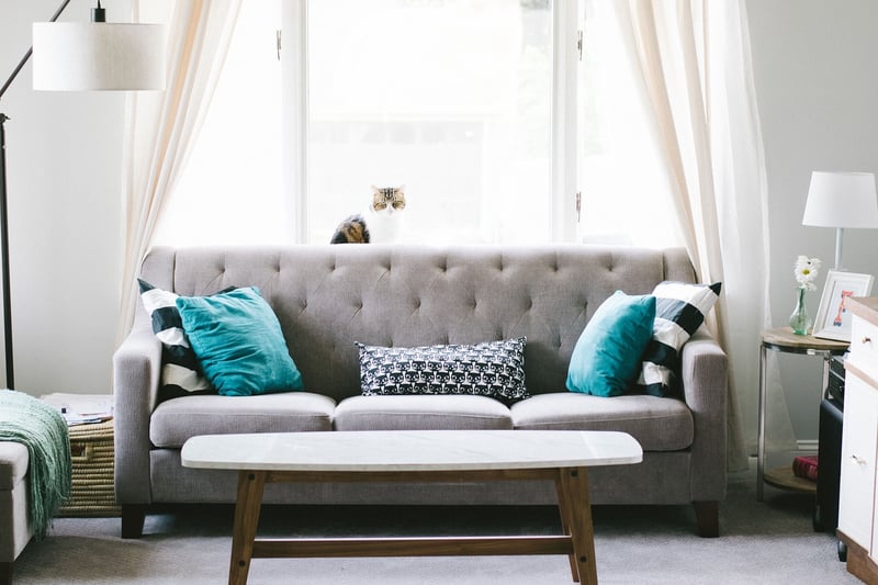 Modern Luxe Living Room